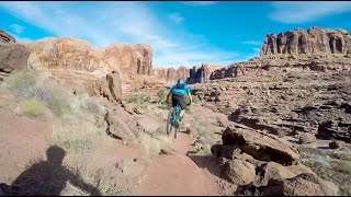 Sending Ahab for #followcamfriday