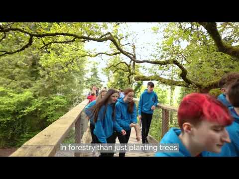 World of Work Programme - Coillte