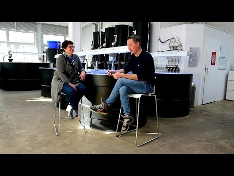 Modern Koi Blog #2222 - One of the biggest dangers in winter