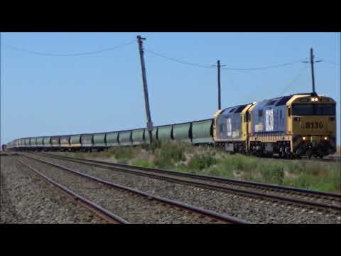 Pacific National - Grain trains at Gheringhap!