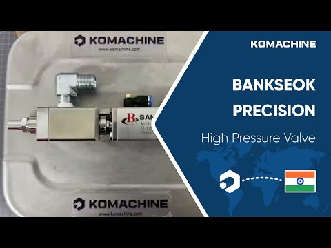 BANKSEOK PRECISION / High Pressure Valve (BV-386) / INV-02097
