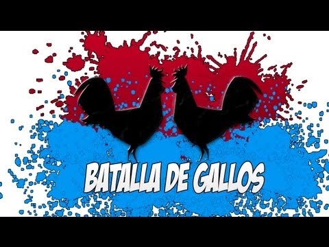 BATALLA DE GALLOS momiaostos VS criterioh