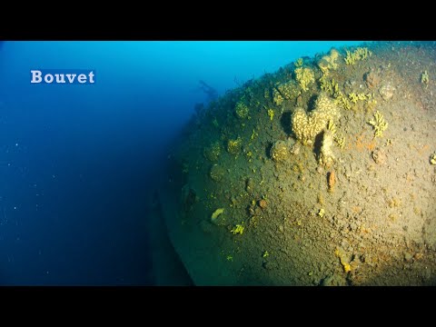 Bouvet