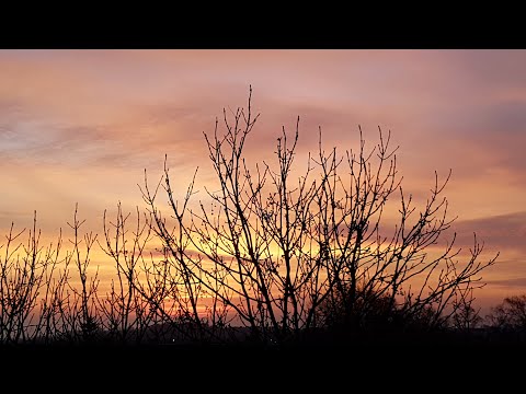 Jak przygotować się na prześladowania? - SMS Z NIEBA (25.11.20)