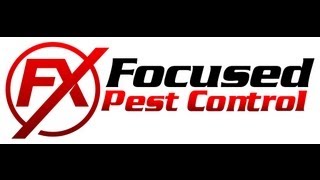 preview picture of video 'Cypress Pest Control 281-256-2600 Cypress Creek Area Focused Pest Control'