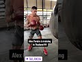 Alex Pereira training in Thailand ? #shorts