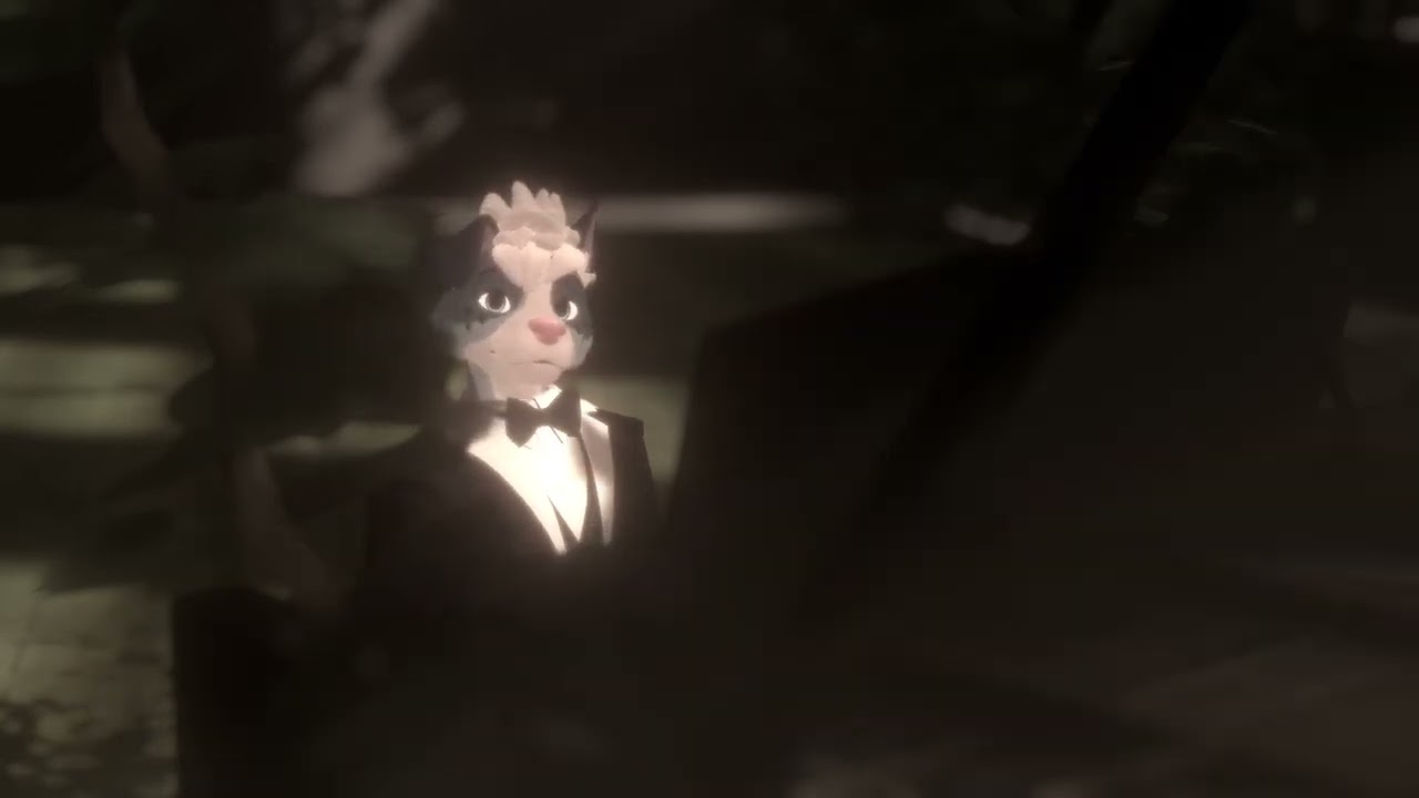 Piano Dog Sleep Stream May 22, 2024