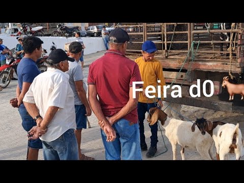 Feira do 🐐 em Desterro paraíba 