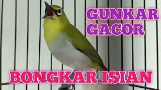 Download lagu pleci buxtoni gunung karang mp3