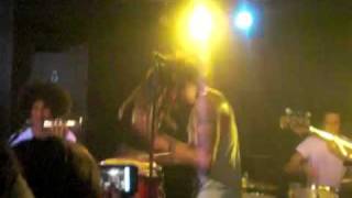 Envy on the Coast- Vultures