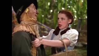 The Wizard Of Oz (1939) If I Only Had a Brain