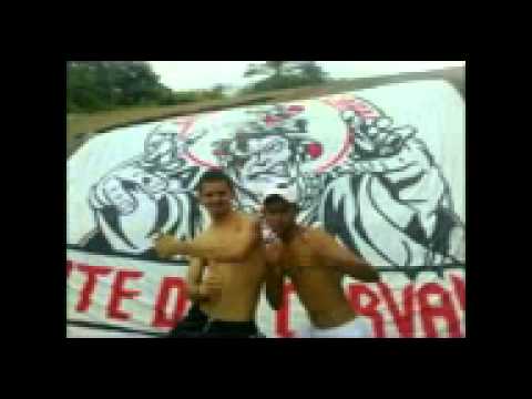 mc smoki dj sony reprezetano pcpc pcc é sol nois