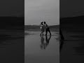 Moral Of The Story X Varsham Bgm Song Lyrics Status What S App Lyrics Status