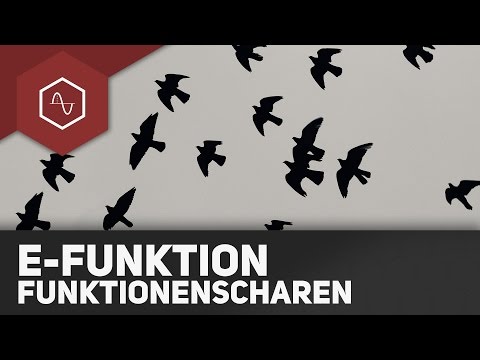 Function families for e-functions