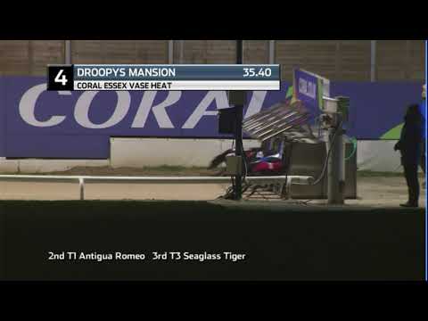 CORAL ESSEX VASE - HEAT 6 - T4 DROOPYS MANSION