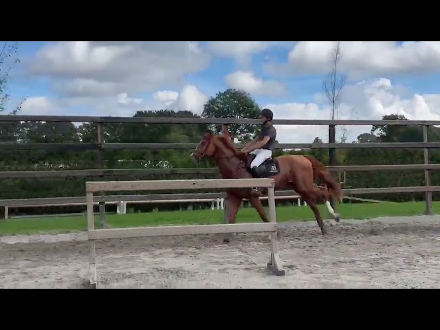 Under the saddle