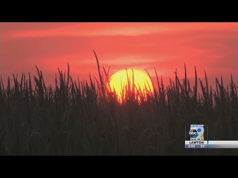 Hottest June On Record