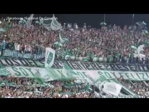 "Atletico Nacional 1 vs millonarios 0 - 2015 Canticos LOS DEL SUR [HD]" Barra: Los del Sur &bull; Club: Atlético Nacional