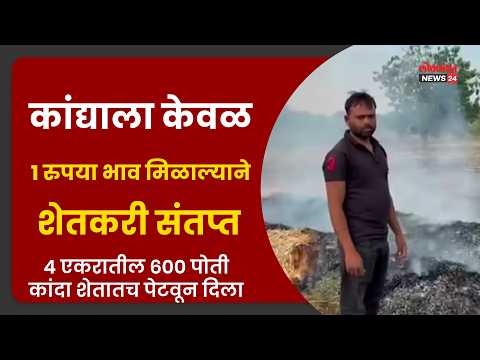 कांद्याला केवळ १ रुपया भाव मिळाल्याने शेतकरी संतप्त; ४ एकरातील ६०० पोती कांदा शेतातच पेटवून दिला