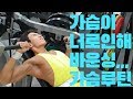 쌈상의 운동일기 ep.48 [D-11 가슴운동루틴]