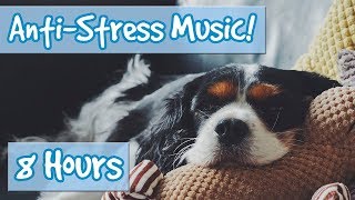 Have the Most Relaxed Dog! Relaxing Music for Easily Stressed Dogs, Nervous Dogs. Help Dogs Sleep!