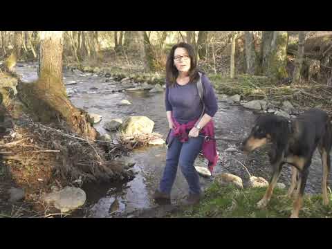 #HUNDundJAGD testet: Fester Tritt im Revier bei jedem Wetter = HAIX Black Eagle Nature GTX!