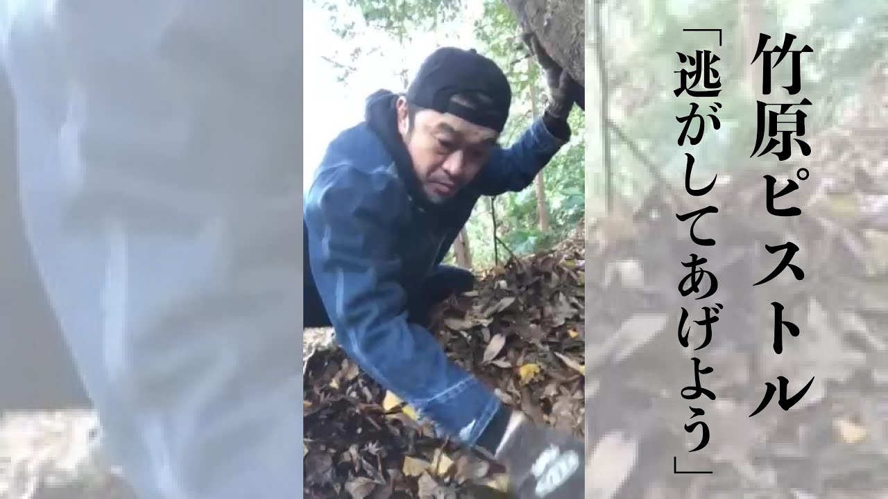 逃がしてあげよう / 竹原ピストル