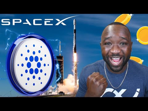 Cardano Project SECRETLY Partnering With SPACEX & ELON Musk?!