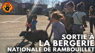 Aftermovie de la sortie à la Bergerie Nationale