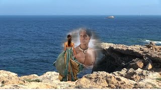 Die Flippers --  Sommerwind