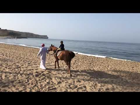 Arabian Horse Riding