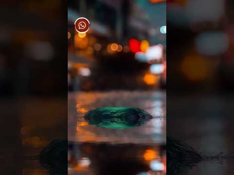 Seu Atendimento é minha prioridade.#hidrolandia #goias #goiania #seucorretor #imovelcerto #shorts