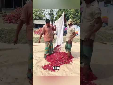 How plastic waste is turned into thread in a small workshop