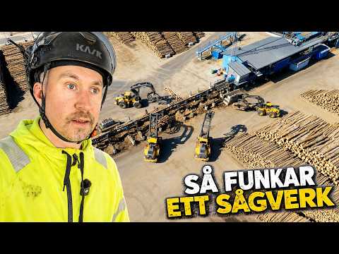 Jag fick komma in på ett sågverk!