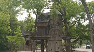 Explore Dogwood Canyon Nature Park