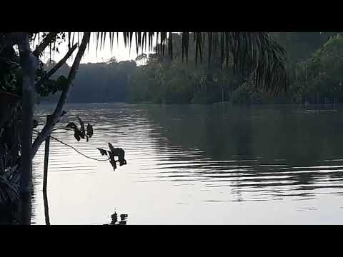 furo do município de Curralinho do Pará   cenas 1