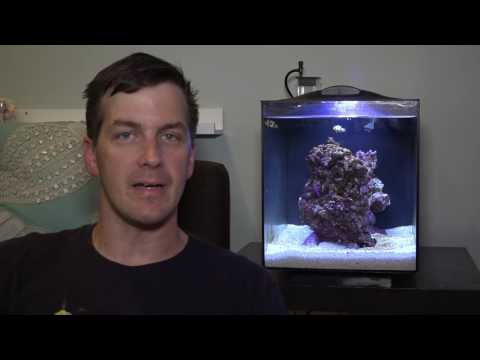 Slide 3 - Fluval SEA Evo 52L Aquarium Set (video)