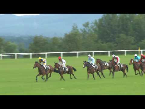 MI, 17. 7. 2016, 7. dostih - Cena Pivovaru Svijany