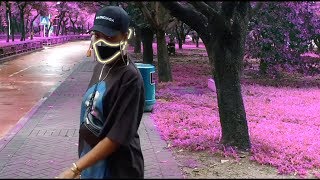 Dainá - SHOOK [Music Video]