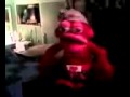Lobster Sings Hot Stuff