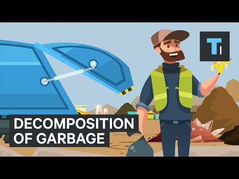 How Long It Takes For Trash To Break Down