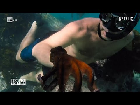 La battaglia per il polpo - Indovina chi viene a cena 17/09/2022