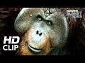 Dawn of the Planet of the Apes | 'Hanging Out' | Clip HD
