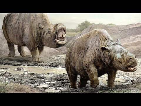 Meridiungulata - South America's Former Hoofed Mammals