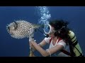 The Deep 1977 Main Title Scene 1080p