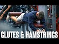 Glutes and Hamstrings... Explained My Way