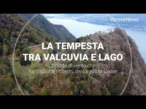 La notte di tempesta che ha distrutto i boschi del Lago Maggiore