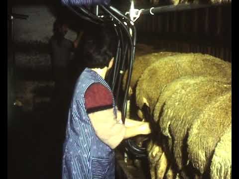 Quand lo pastre partís pel causse…