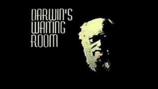 Darwin's Waiting Room - She Shoots