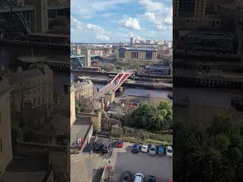 7 Bridges on the river Tyne